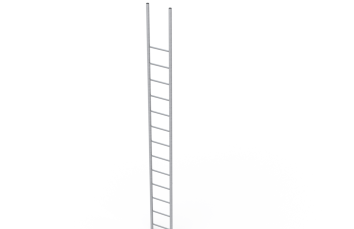 Scaffold Ladders